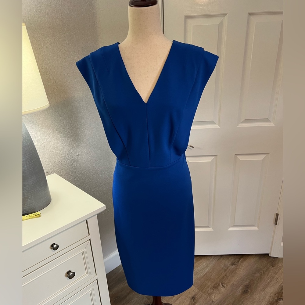 Calvin Klein size 14 Sheath Dress with Gold Decorative Back Zipper